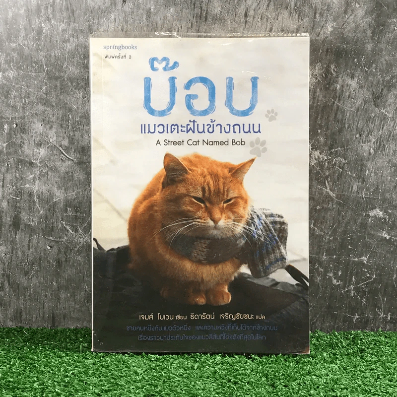 บ๊อบ แมวเตะฝันข้างถนน A Street Cat Named Bob - เจมส์ โบเวน รูปที่ 1