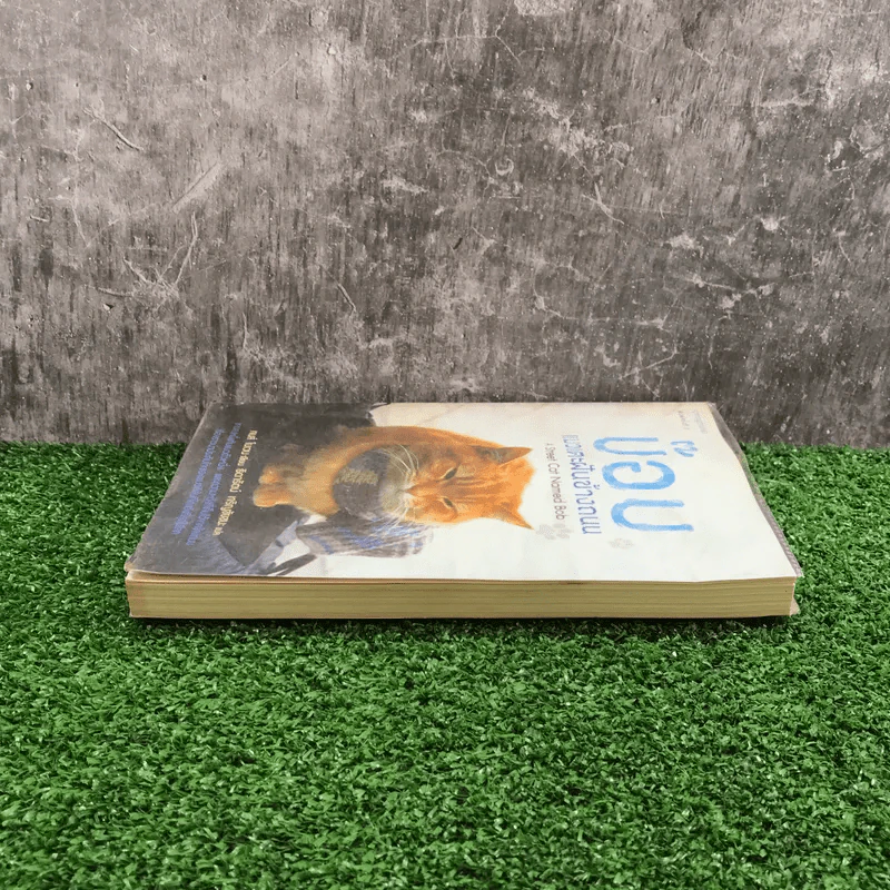 บ๊อบ แมวเตะฝันข้างถนน A Street Cat Named Bob - เจมส์ โบเวน รูปที่ 3