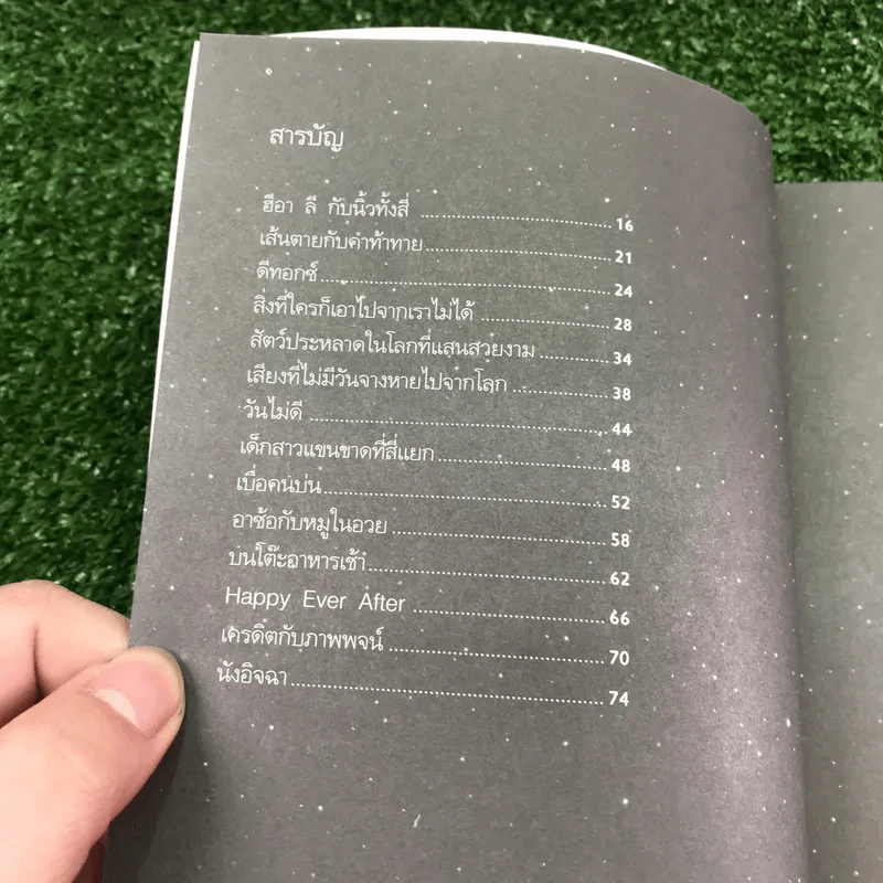 เบื้องบนยังมีแสงดาว - วินทร์ เลียววาริณ รูปที่ 13