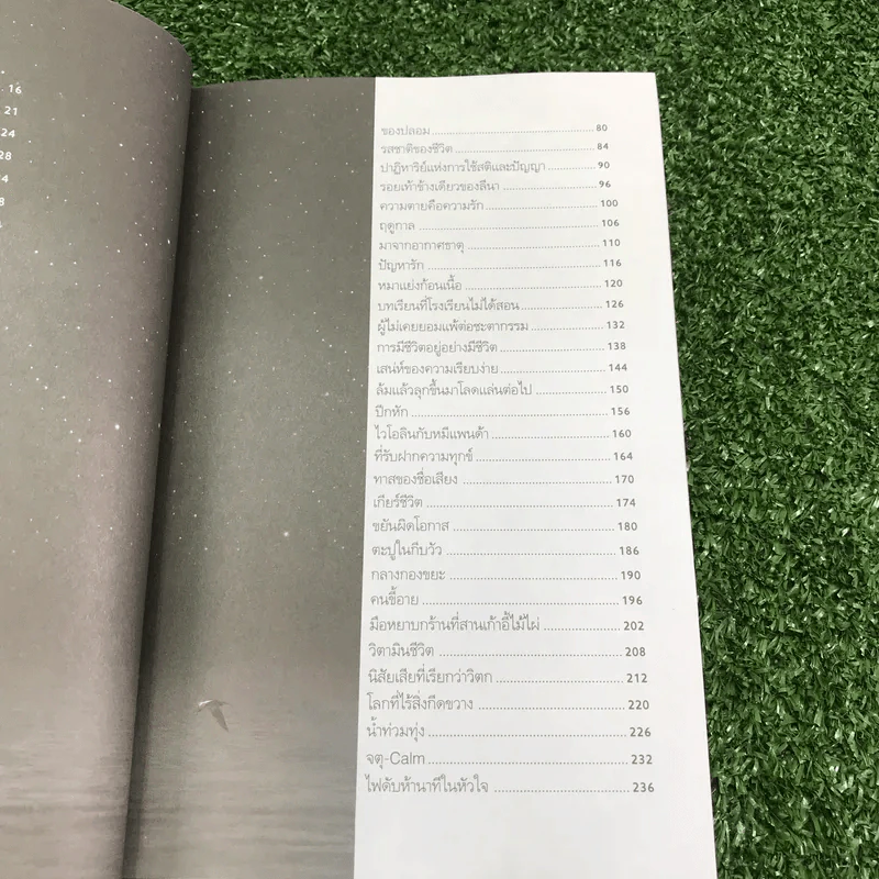 เบื้องบนยังมีแสงดาว - วินทร์ เลียววาริณ รูปที่ 14