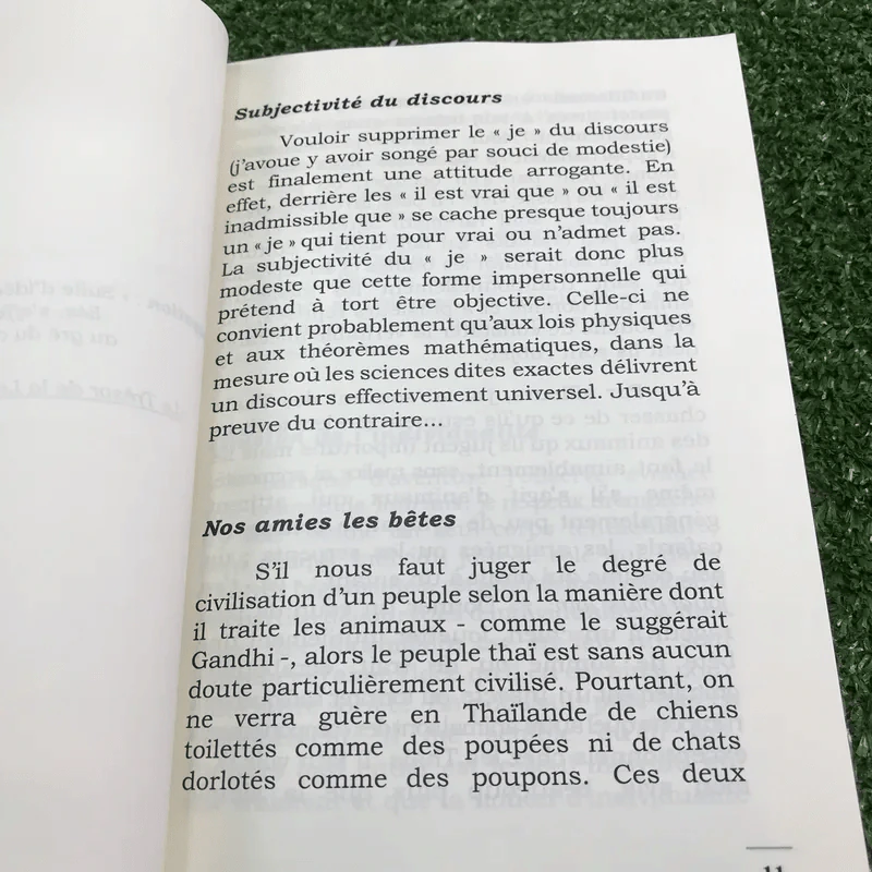 Divagations Siamoises - Patrick Binot รูปที่ 10