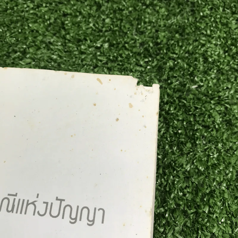 คืนหลอน วิญญาณหลอก - ปางบรรพ์ รูปที่ 7