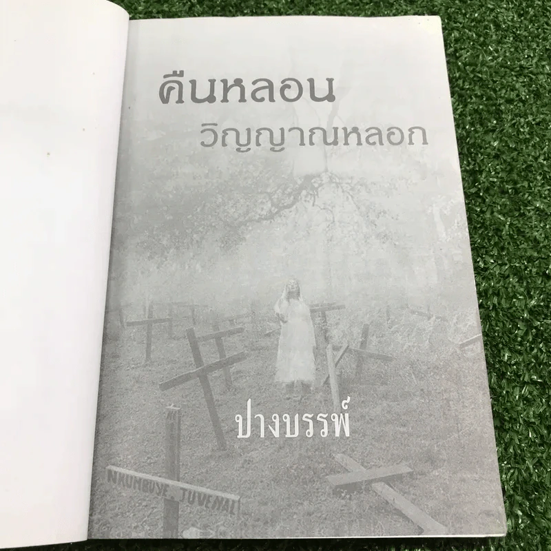 คืนหลอน วิญญาณหลอก - ปางบรรพ์ รูปที่ 9