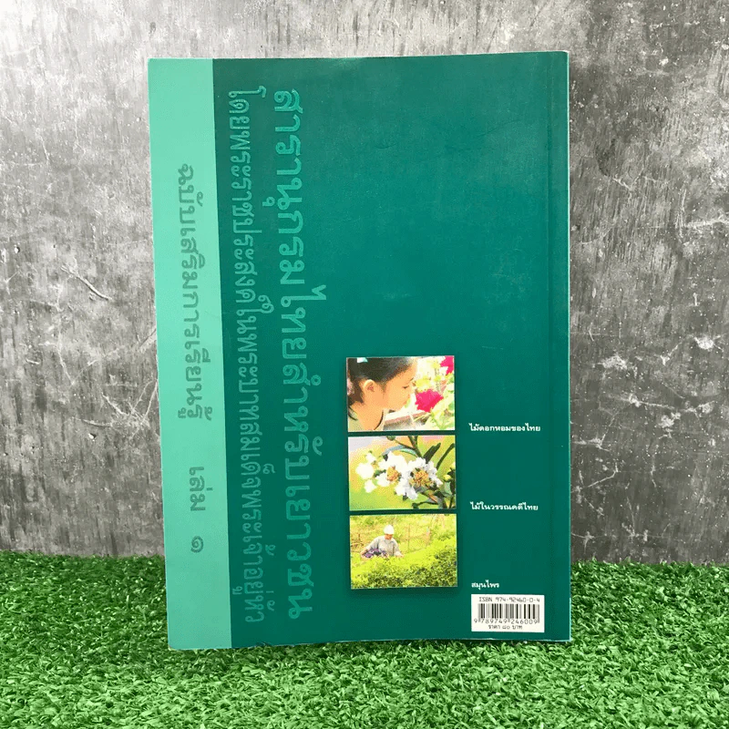 สารานุกรมไทยสำหรับเยาวชน เล่ม 1 ไม้ดอกหอมของไทย, ไม้ในวรรณคดีไทย, สมุนไพร รูปที่ 13