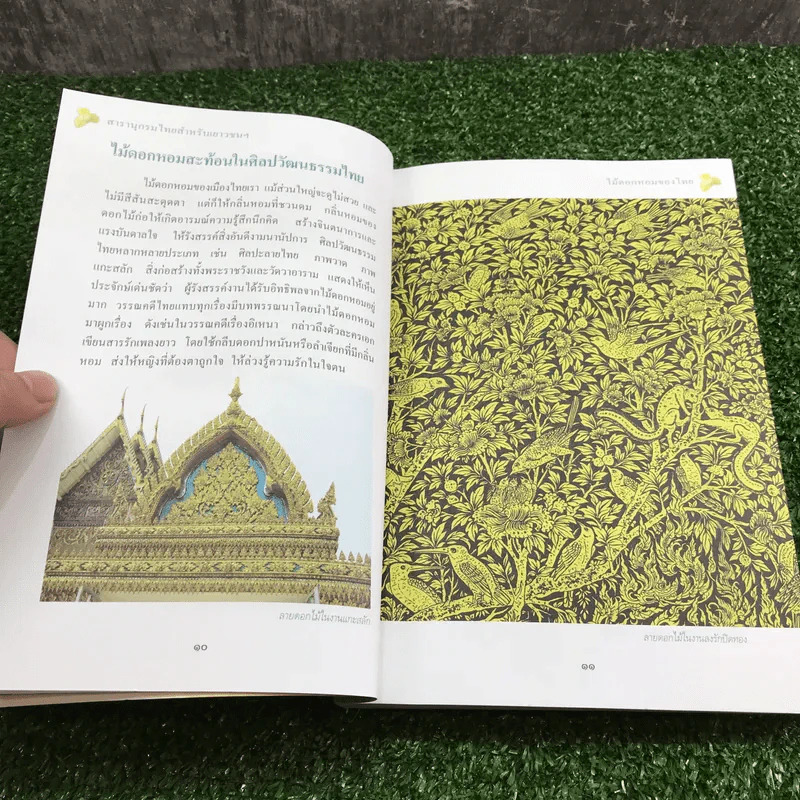 สารานุกรมไทยสำหรับเยาวชน เล่ม 1 ไม้ดอกหอมของไทย, ไม้ในวรรณคดีไทย, สมุนไพร รูปที่ 11