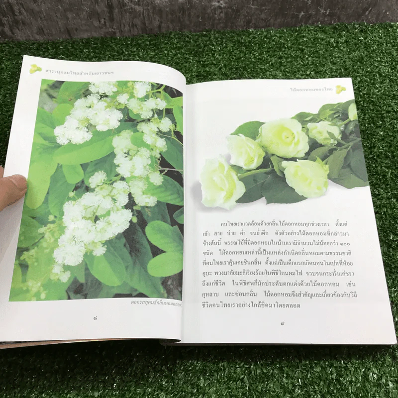 สารานุกรมไทยสำหรับเยาวชน เล่ม 1 ไม้ดอกหอมของไทย, ไม้ในวรรณคดีไทย, สมุนไพร รูปที่ 10