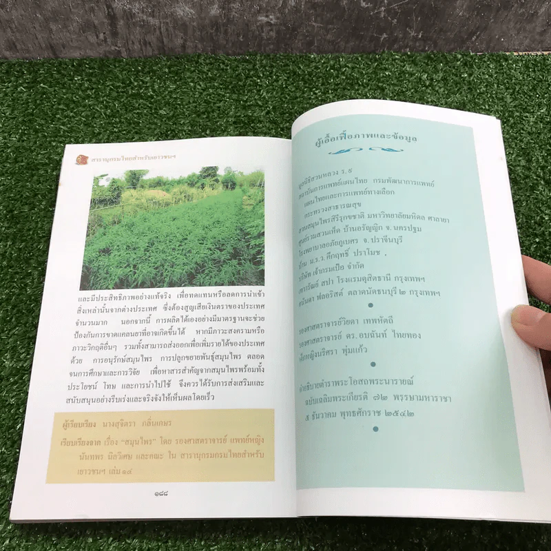 สารานุกรมไทยสำหรับเยาวชน เล่ม 1 ไม้ดอกหอมของไทย, ไม้ในวรรณคดีไทย, สมุนไพร รูปที่ 12