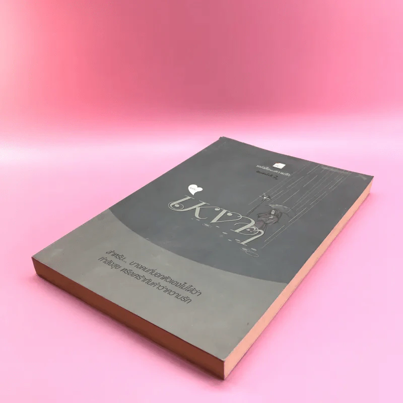 หนังสือของความรัก ฉบับเหงาๆ รูปที่ 4