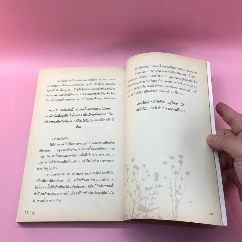 หนังสือของความรัก ฉบับเหงาๆ รูปที่ 13