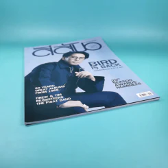 สีสัน ปีที่ 29 ฉบับที่ 7 2561 เบิร์ด ธงไชย รูปที่ 4
