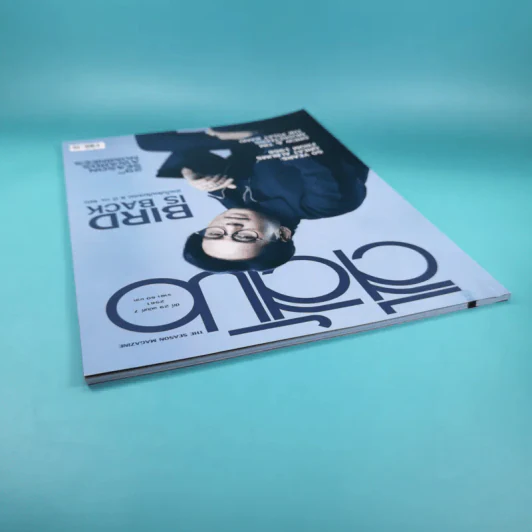 สีสัน ปีที่ 29 ฉบับที่ 7 2561 เบิร์ด ธงไชย รูปที่ 6