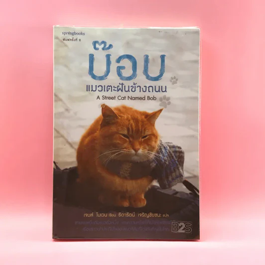 บ๊อบ แมวเตะฝันข้างถนน A Street Cat Named Bob - เจมส์ โบเวน รูปที่ 1