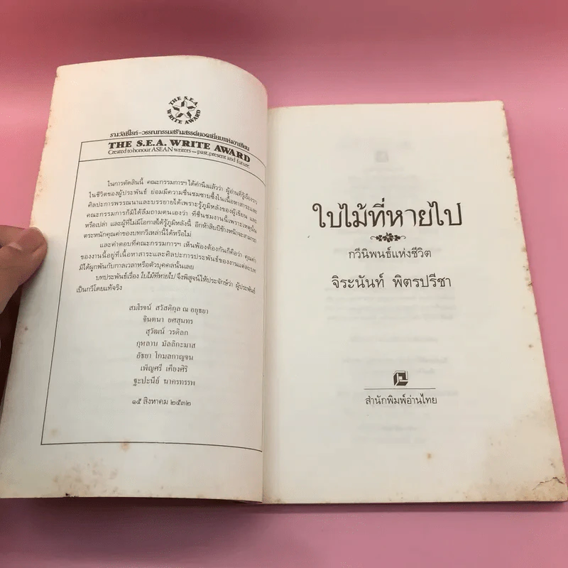 ใบไม้ที่หายไป - จิระนันท์ พิตรปรีชา รูปที่ 7