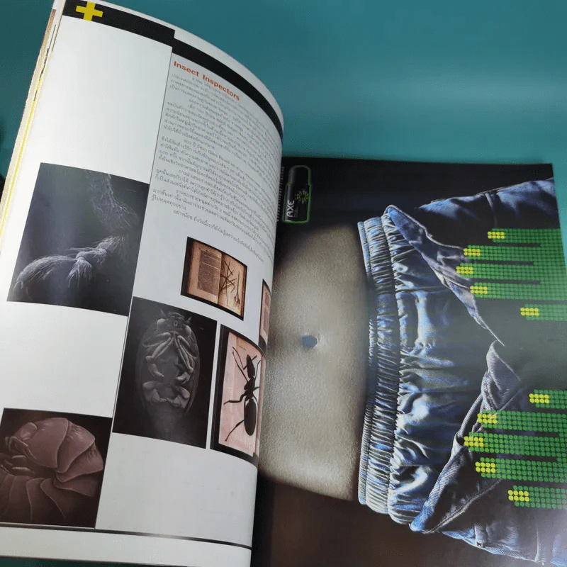 a day ปีที่ 4 ฉบับที่ 42 กาลครั้งหนึ่ง สวรรค์มีเรื่องราว รูปที่ 9