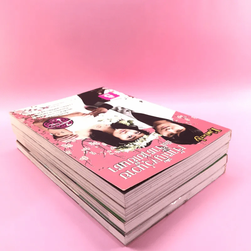 เจ้าหญิงวุ่นวายกับเจ้าชายเย็นชา เล่ม 1,3,4,5 รูปที่ 5