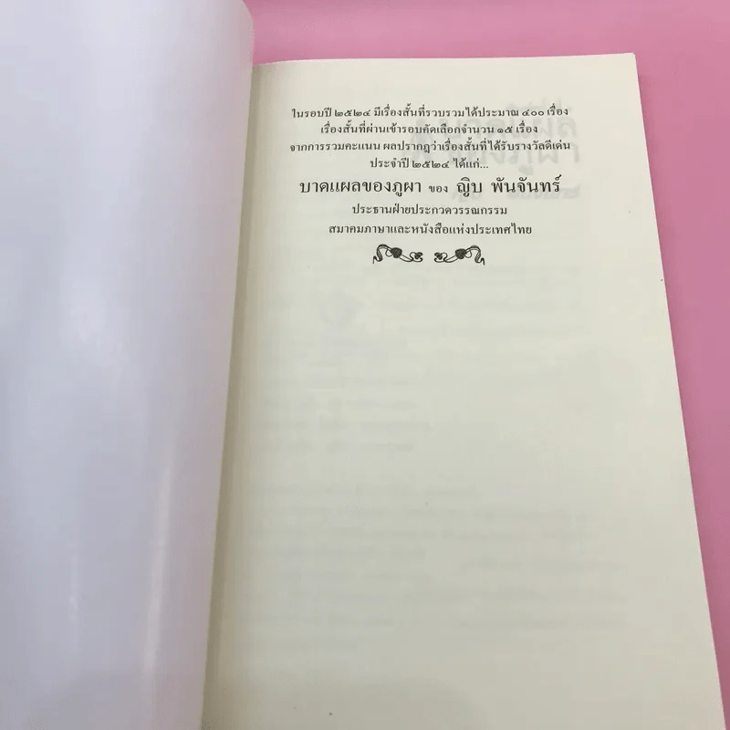 บาดแผลของภูผา - ญิบ พันจันทร์ รูปที่ 6