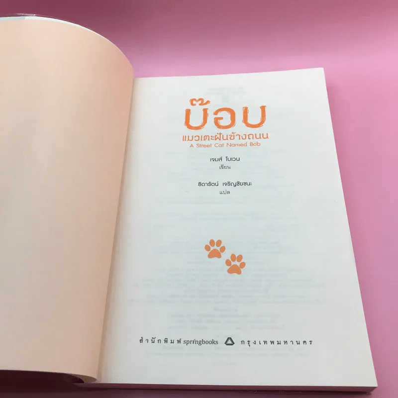 บ๊อบ แมวเตะฝันข้างถนน A Street Cat Named Bob - เจมส์ โบเวน รูปที่ 7