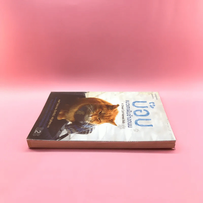 บ๊อบ แมวเตะฝันข้างถนน A Street Cat Named Bob - เจมส์ โบเวน รูปที่ 3