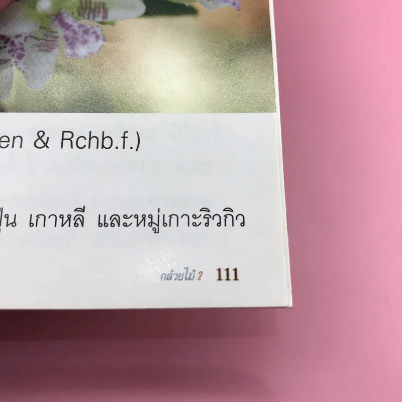 ร้อยพรรณพฤกษา กล้วยไม้ 2 - เศรษฐมันตร์ กาญจนกุล รูปที่ 14