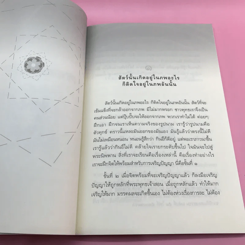 ศาสตร์ที่ท้าให้พิสูจน์ไม่ใช่ชวนให้เชื่อ - หลวงพ่อปราโมทย์ ปาโมชโช รูปที่ 10