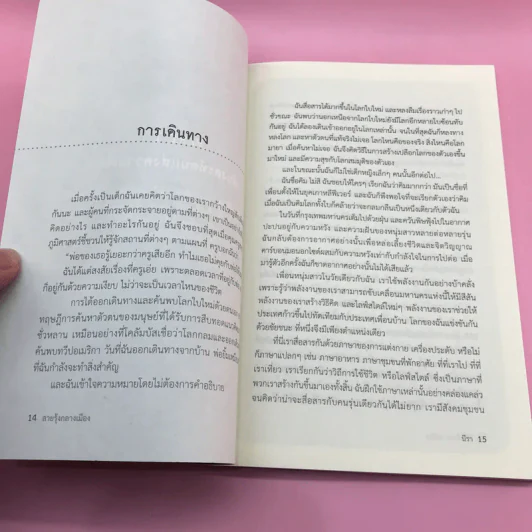 สายรุ้งกลางเมือง - นีรา รูปที่ 13