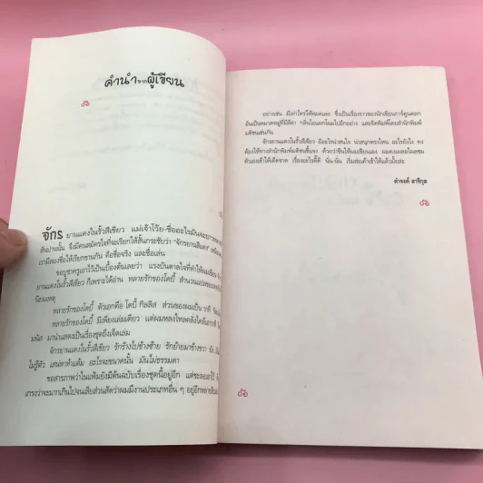 จักรยานแดงในรั้วสีเขียว - ดำรงค์ อารีกุล รูปที่ 12
