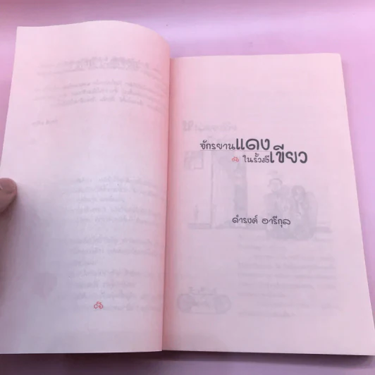 จักรยานแดงในรั้วสีเขียว - ดำรงค์ อารีกุล รูปที่ 13