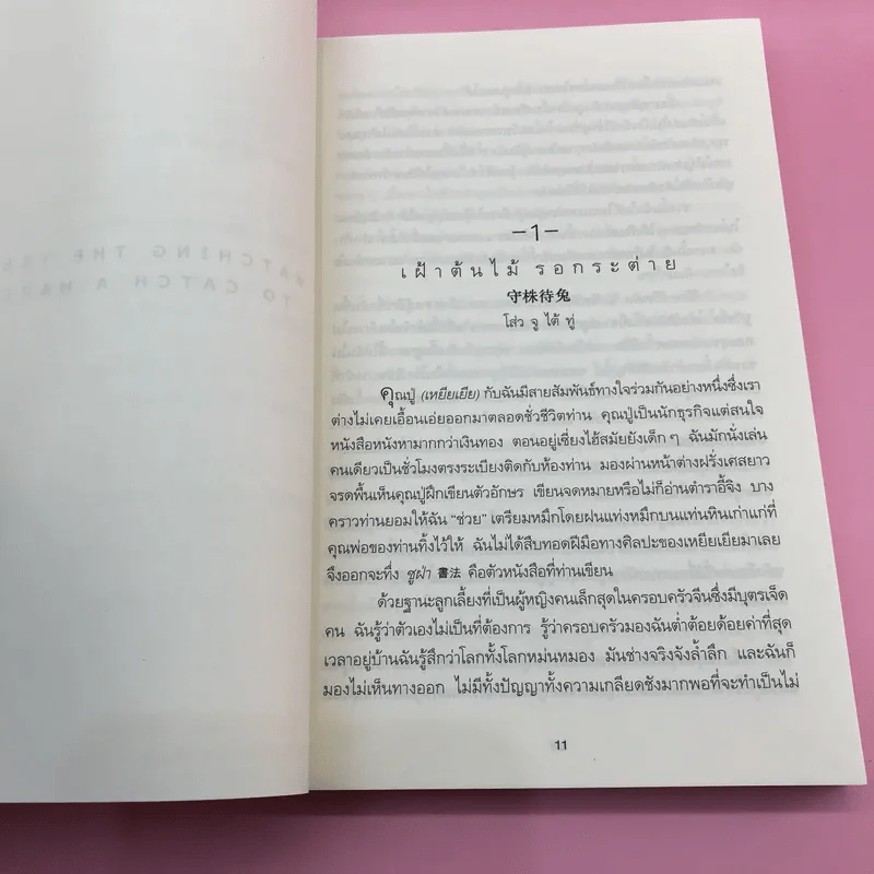 เฝ้าต้นไม้ รอกระต่าย - Adeline Yen Mah รูปที่ 11