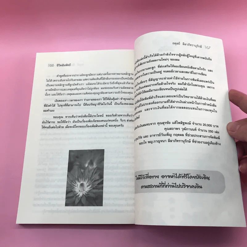 ชีวิตสัมพัทธ์มาตรฐานและความพอดี - อดุลย์ ลีลาภัทรานุรักษ์ รูปที่ 14