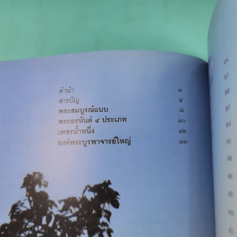 ไม่มาเกิดมาตายเรียกว่า ชาติสุดท้าย - หลวงตามหาบัว รูปที่ 9