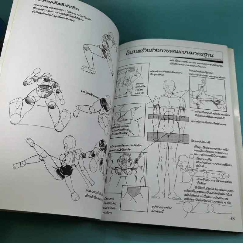 How to Draw Manga Volume 1 เทคนิคการวาดภาพการ์ตูน รูปที่ 13