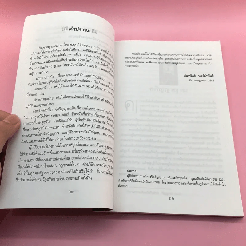 สัมภาษณ์จิตด้วยวิญญาณ - ปนาพันธ์ นุตร์อำพันธ์ รูปที่ 12