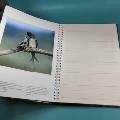 บันทึกธรรมชาติ ด้วยปีกแห่งพงไพร รูปที่ 15