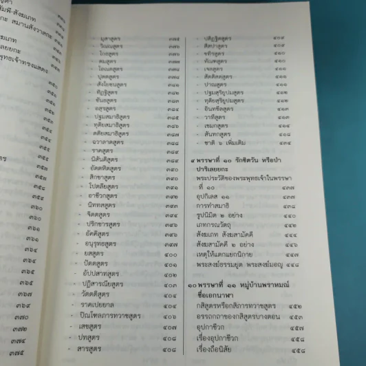 45 พรรษาของพระพุทธเจ้า - สมเด็จพระญาณสังวร สมเด็จพระสังฆราช สกลมหาสังฆปริณายก รูปที่ 15