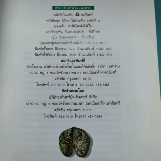 บอนสี ราชินีแห่งไม้ใบ - อุไร จิรมงคลการ รูปที่ 8