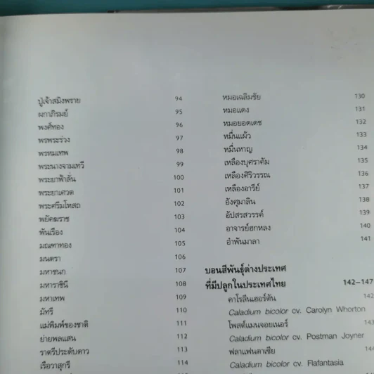 บอนสี ราชินีแห่งไม้ใบ - อุไร จิรมงคลการ รูปที่ 13