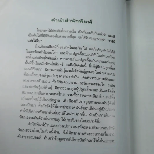 บอนสี ราชินีแห่งไม้ใบ - อุไร จิรมงคลการ รูปที่ 9