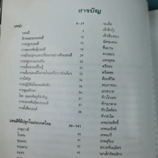 บอนสี ราชินีแห่งไม้ใบ - อุไร จิรมงคลการ รูปที่ 11