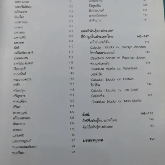 บอนสี ราชินีแห่งไม้ใบ - อุไร จิรมงคลการ รูปที่ 14