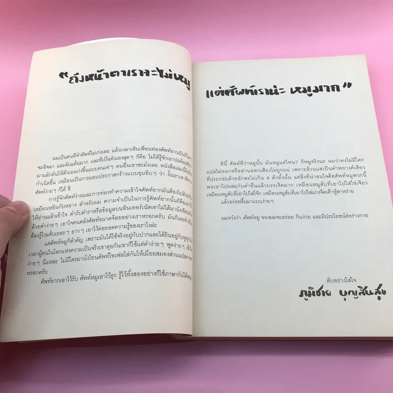 ศัพท์หมู - ภูมิชาย บุญสินสุข รูปที่ 10