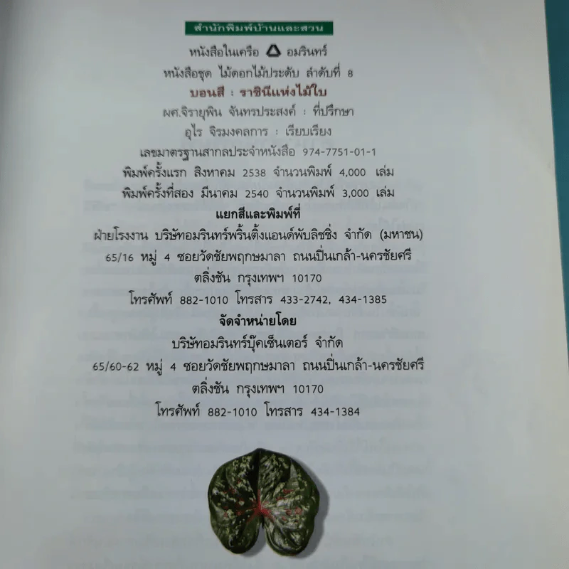 บอนสี ราชินีแห่งไม้ใบ - อุไร จิรมงคลการ รูปที่ 8