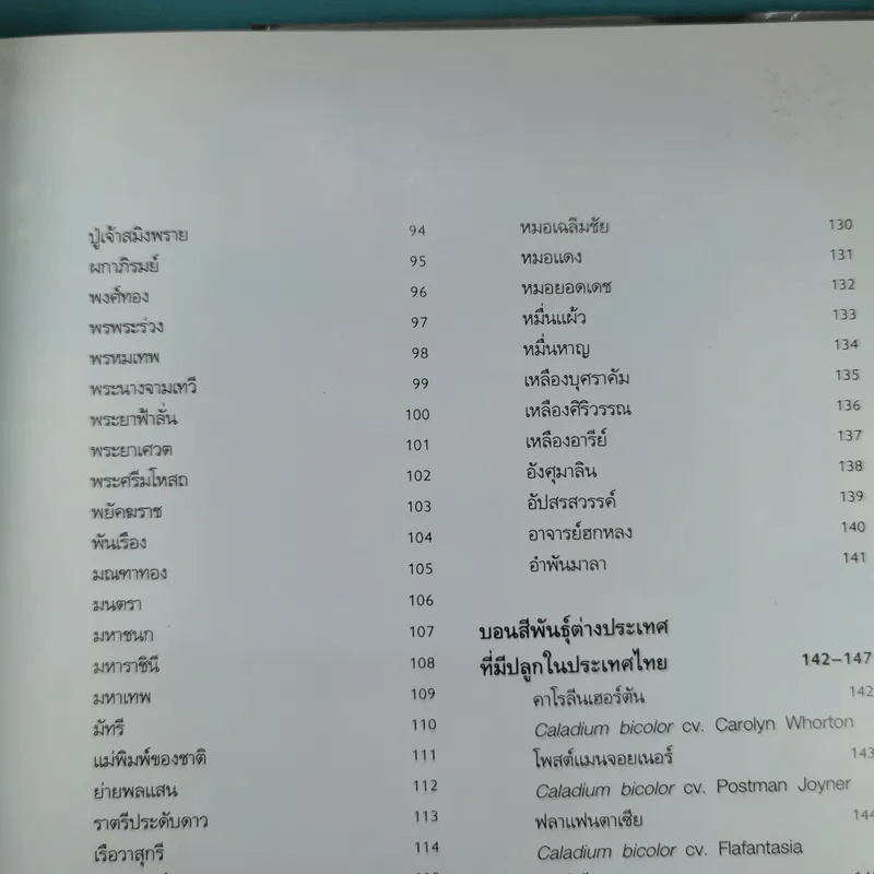 บอนสี ราชินีแห่งไม้ใบ - อุไร จิรมงคลการ รูปที่ 13