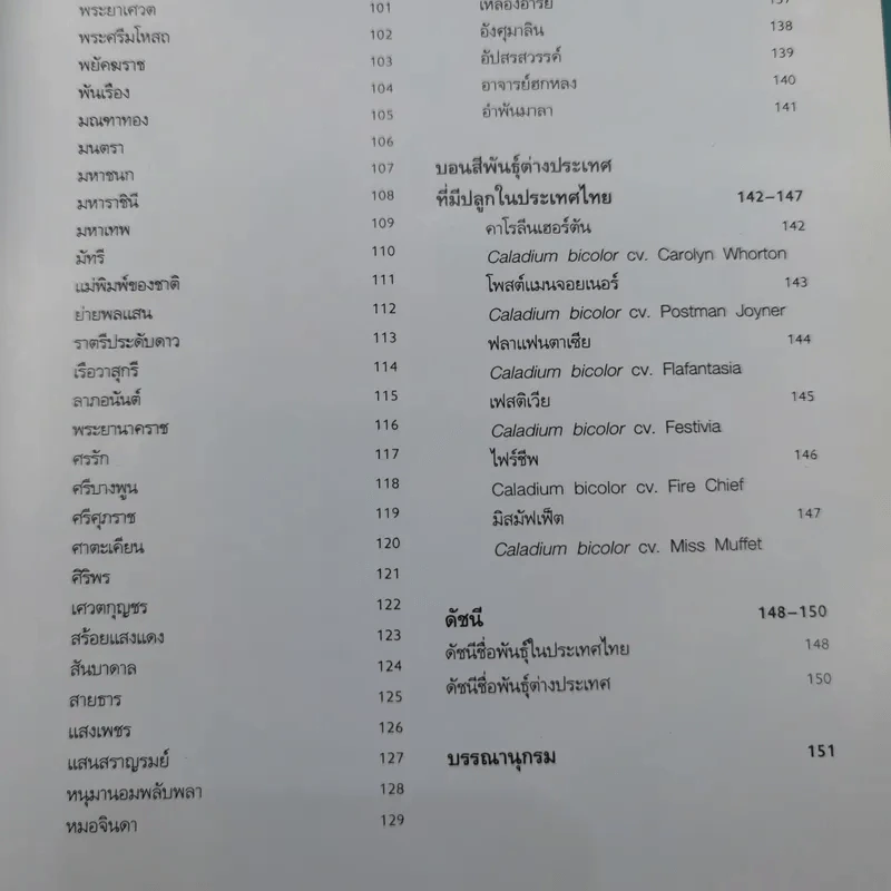 บอนสี ราชินีแห่งไม้ใบ - อุไร จิรมงคลการ รูปที่ 14