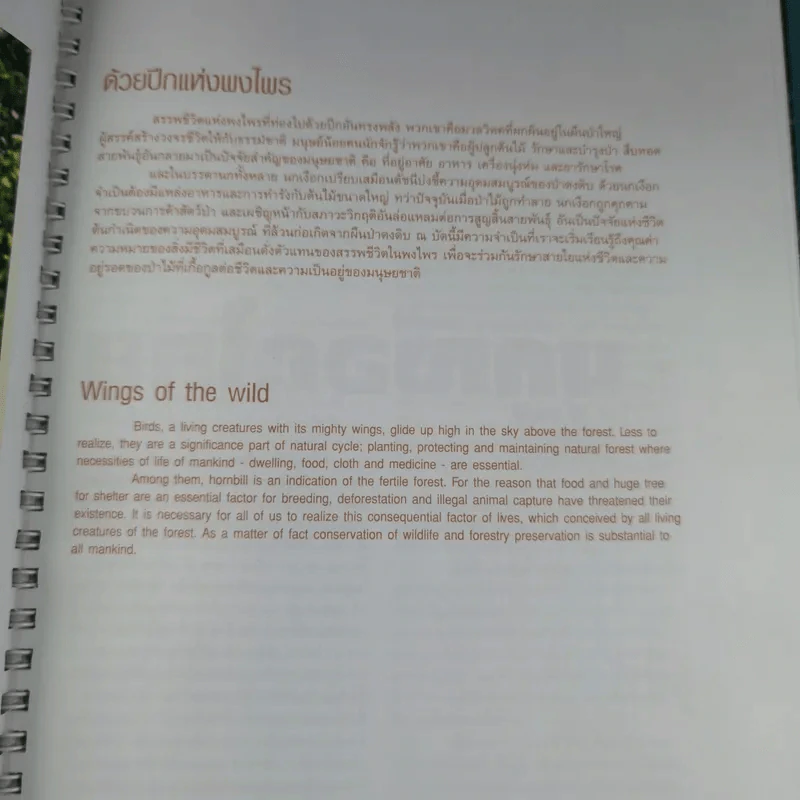 บันทึกธรรมชาติ ด้วยปีกแห่งพงไพร รูปที่ 12