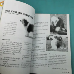 Pet-Mag นิตยสารสัตว์เลี้ยง ปีที่ 1 ฉบับที่ 8 ก.พ.2543 รูปที่ 10