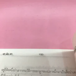 เฮมันฮา - จตุพล ชมภูนิช รูปที่ 10
