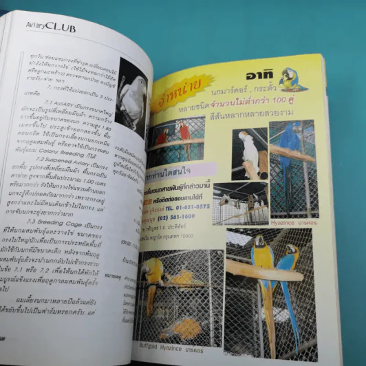 Pet-Mag นิตยสารสัตว์เลี้ยง ปีที่ 1 ฉบับที่ 8 ก.พ.2543 รูปที่ 11