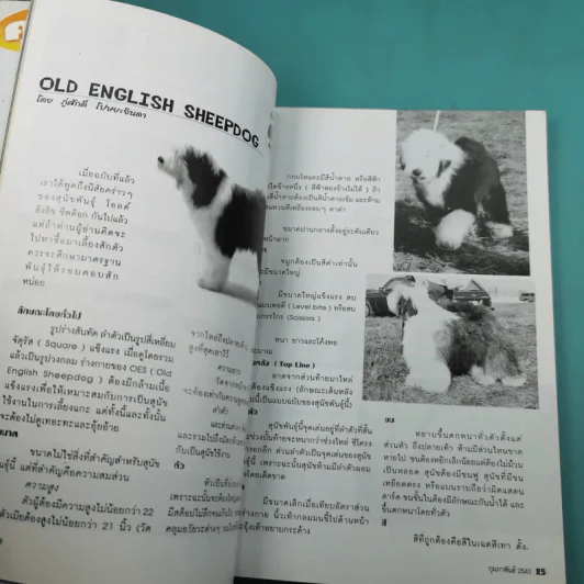 Pet-Mag นิตยสารสัตว์เลี้ยง ปีที่ 1 ฉบับที่ 8 ก.พ.2543 รูปที่ 10