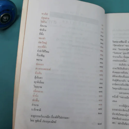 นาฏกรรมในเงามืด - หลวงเมือง รูปที่ 11