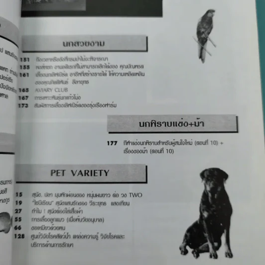 Pet-Mag นิตยสารสัตว์เลี้ยง ปีที่ 1 ฉบับที่ 12 มิ.ย.2543 รูปที่ 9